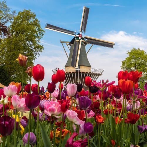 Netherlands, Keukenhof